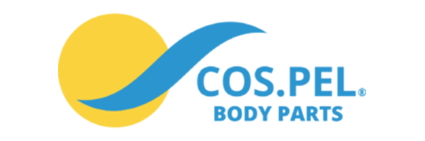 COSPEL logo